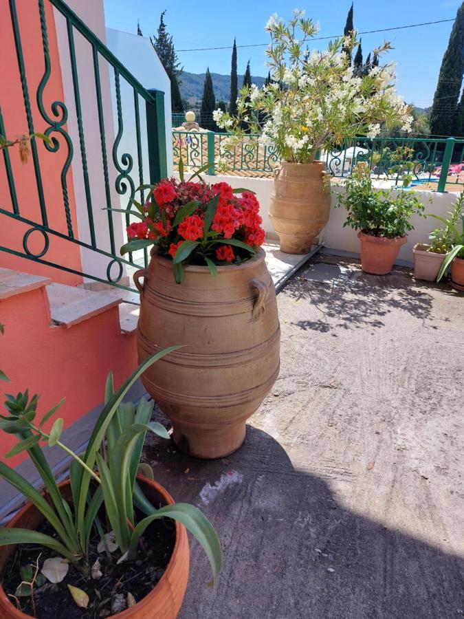 Maria Studios Paleokastritsa Buitenkant foto